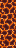 Bloc de magma