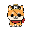 Shiba Pirate