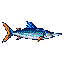Brochet argenté